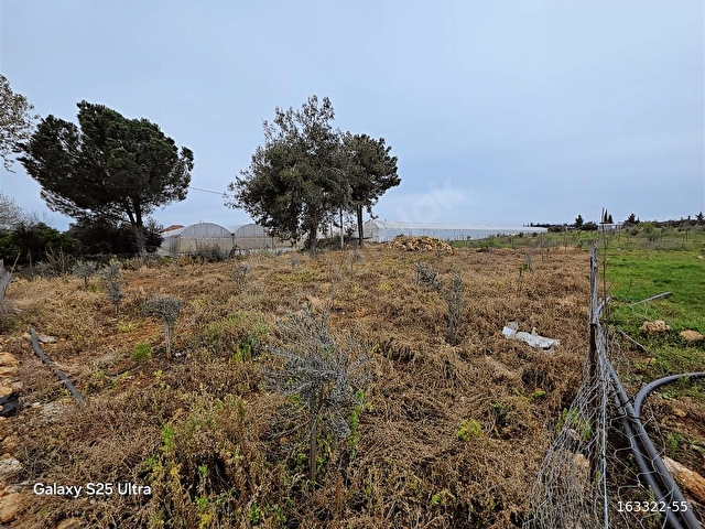 Kepez Gazilerde SATILIK ECRİMİSİLİ ödenmiş 1023 m2 2B Bahçe. - Görsel 5