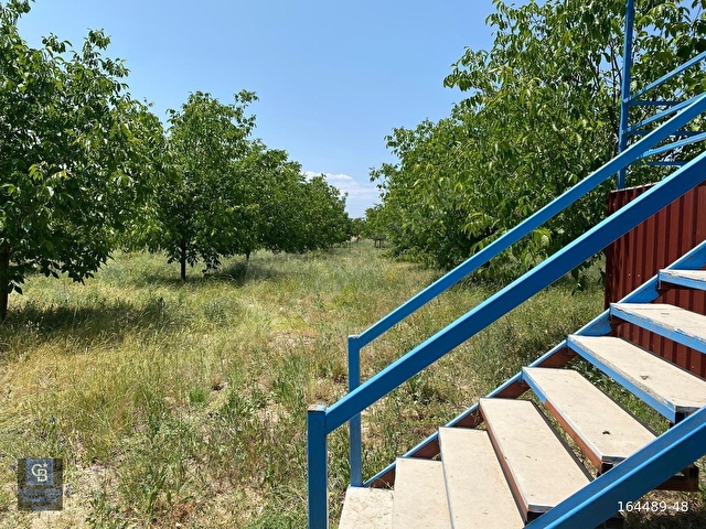 ÇAMELİNDE İÇİNDE KONTAİNER KONUT OLAN 6.785 m² CEVİZ TARLASI - Görsel 13