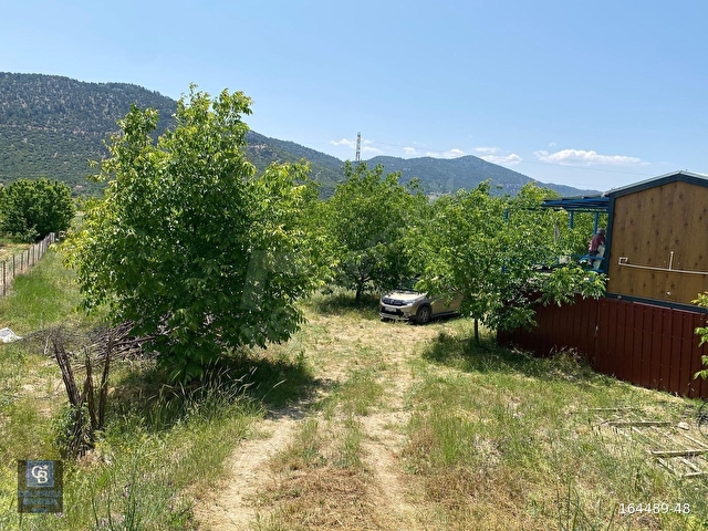 ÇAMELİNDE İÇİNDE KONTAİNER KONUT OLAN 6.785 m² CEVİZ TARLASI - Görsel 2