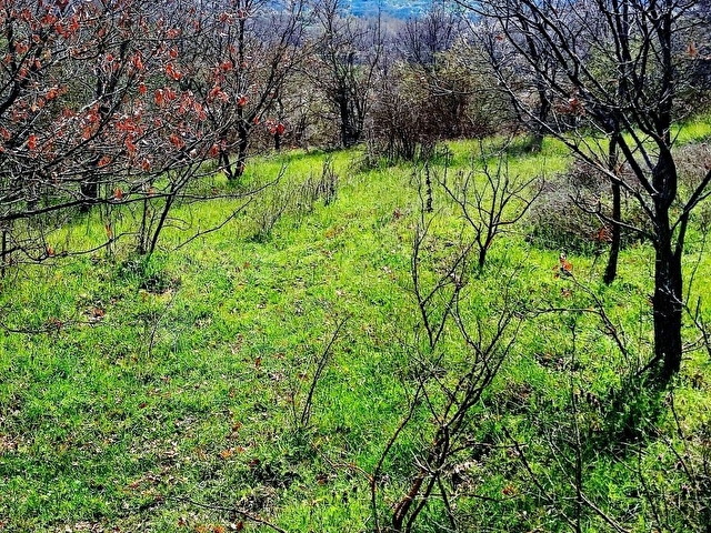 FİRANLARDA DEĞERLİ LOKASYON - Görsel 18