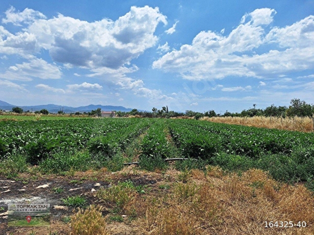 195M2 İmarlı Arsa - Görsel 3