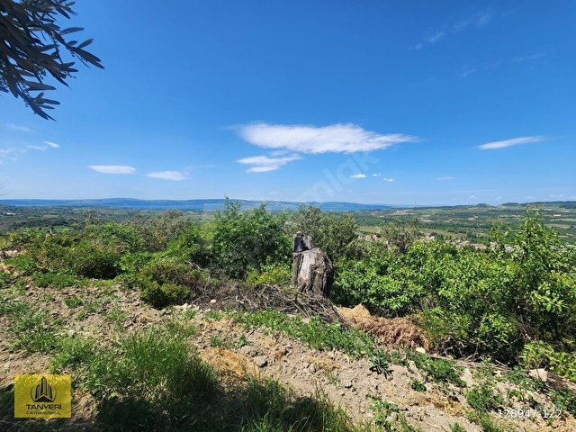 Çanakkale Lapseki Umurbey Satılık Deniz (Boğaz) Manzaralı Tarla. - Görsel 20