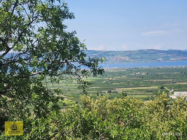 Çanakkale Lapseki Umurbey Satılık Deniz (Boğaz) Manzaralı Tarla. - Görsel 24