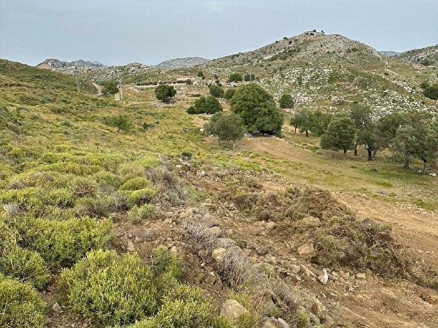 BOZBURUN YASSI BALIK MEVKİİ FIRSAT ARSA - Görsel 5