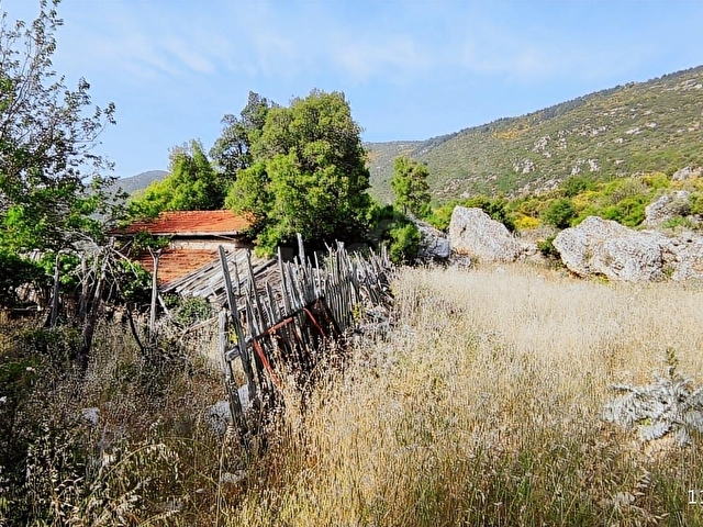 Elektrik suyu olan 2 adet tapulu arsa+ev satılık - Görsel 5
