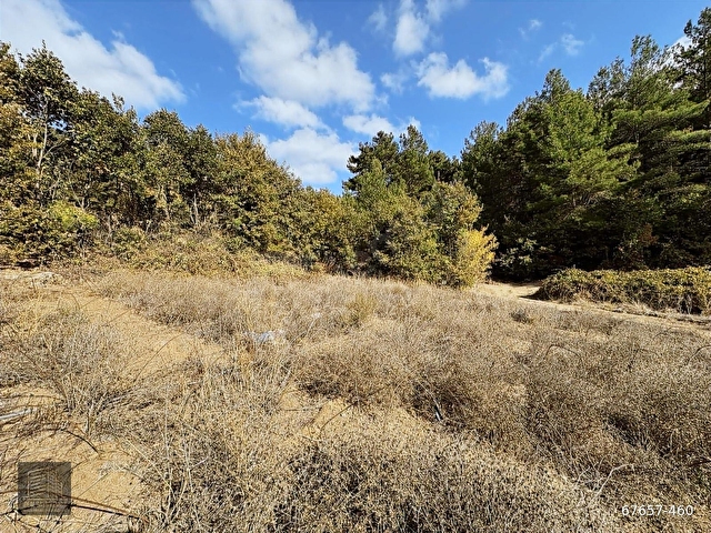 FIRSAT!! ÇANAKKALE YENİCE KAZDAĞLARI REŞADİYE DE 2165M2 TARLA - Görsel 27