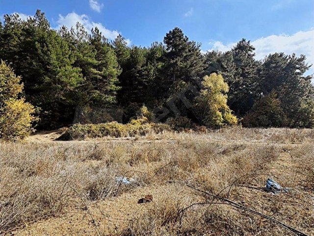 FIRSAT!! ÇANAKKALE YENİCE KAZDAĞLARI REŞADİYE DE 2165M2 TARLA - Görsel 21