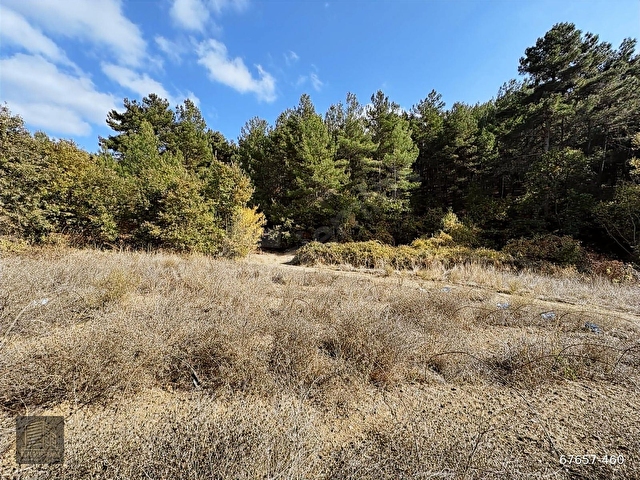FIRSAT!! ÇANAKKALE YENİCE KAZDAĞLARI REŞADİYE DE 2165M2 TARLA - Görsel 28