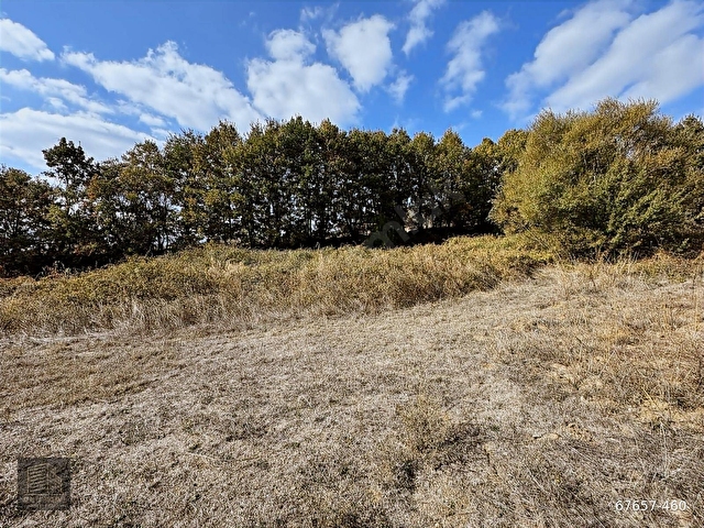FIRSAT!! ÇANAKKALE YENİCE KAZDAĞLARI REŞADİYE DE 2165M2 TARLA - Görsel 17