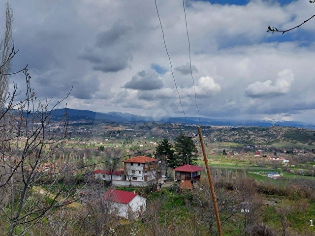 KASTAMONU - TOSYA GÖKYER MEVKİNDE SATILIK BAKIMLI BAĞ - Görsel 6