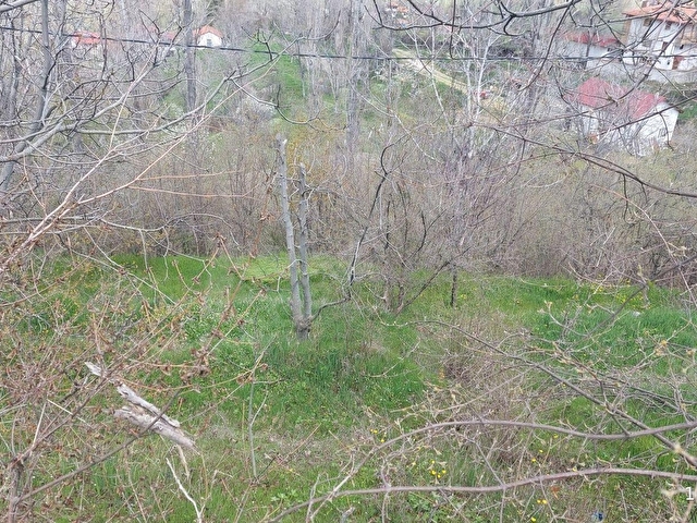KASTAMONU - TOSYA GÖKYER MEVKİNDE SATILIK BAKIMLI BAĞ - Görsel 17