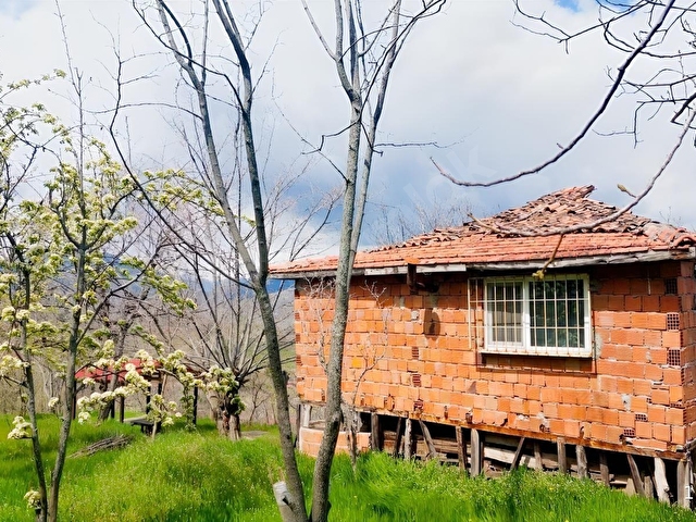 KASTAMONU - TOSYA GÖKYER MEVKİNDE SATILIK BAKIMLI BAĞ - Görsel 2