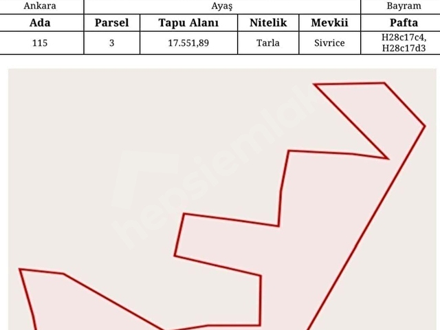 Century21 VİZYON2 den AYAŞ Arıklar da Tarla - Görsel 3