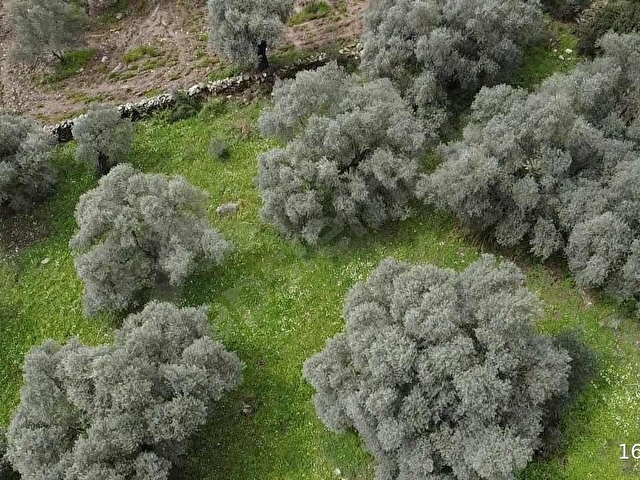 Karacahisar da yola cephe 1.690 m2 - Görsel 16