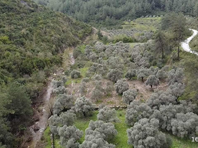 Karacahisar da yola cephe 1.690 m2 - Görsel 22