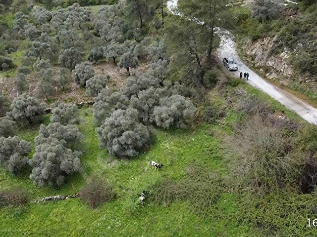Karacahisar da yola cephe 1.690 m2 - Görsel 24