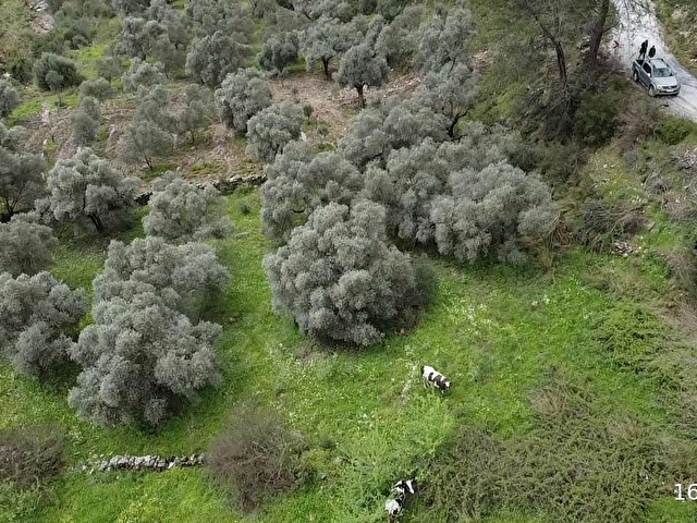 Karacahisar da yola cephe 1.690 m2 - Görsel 26