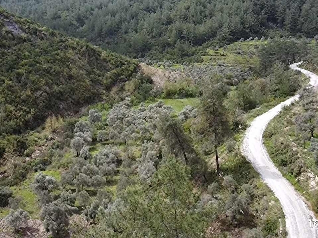Karacahisar da yola cephe 1.690 m2 - Görsel 3