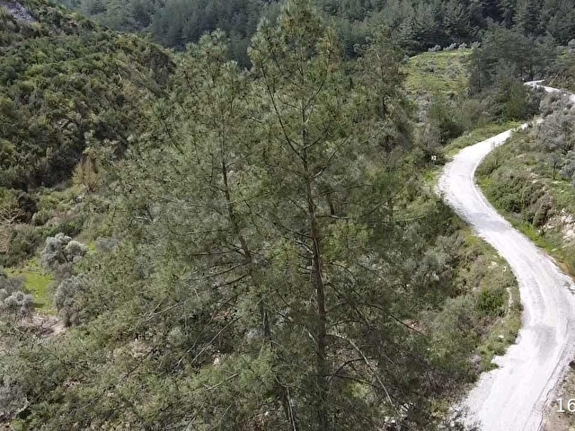 Karacahisar da yola cephe 1.690 m2 - Görsel 2