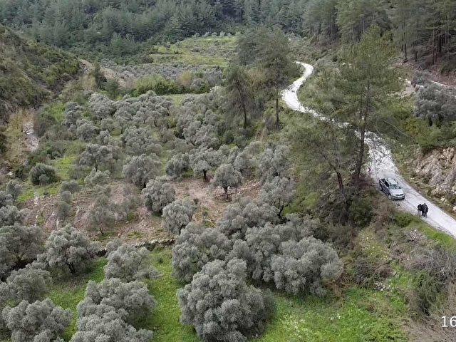 Karacahisar da yola cephe 1.690 m2 - Görsel 21