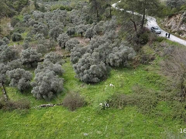 Karacahisar da yola cephe 1.690 m2 - Görsel 19