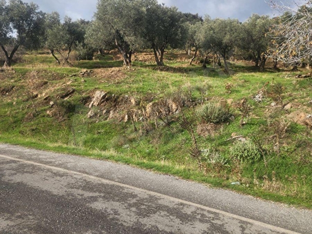 BAYINDIR FURUNLUDA SATILIK İMARLI 700 M2 ARSA