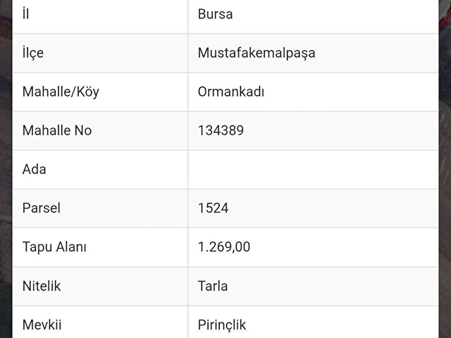 MUSTAFAKEMALPAŞA ORMANKADIDA SATILIK YATIRIMLIK TARLA 1.269 m