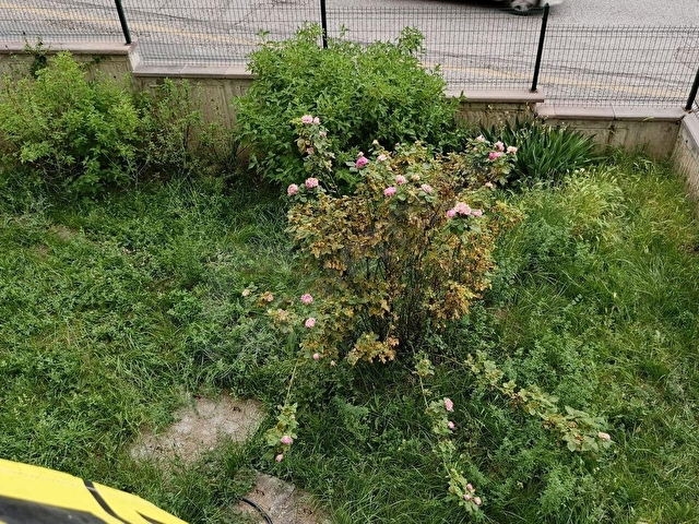 ARIKANDAN KUZEY ANKARA 8, ETAP 4+1 SATILIK DAİRE - Görsel 7