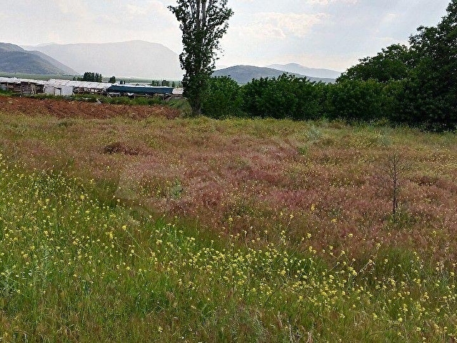 Isparta Atabey onaç Mahallesinde satılık bahçe - Görsel 2