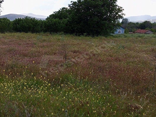 Isparta Atabey onaç Mahallesinde satılık bahçe - Görsel 3
