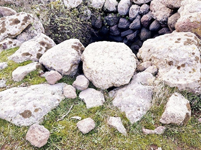 Dikili Merdivenlide Deniz Gören Yola Sıfır Satılık Zeytinlik - Görsel 6