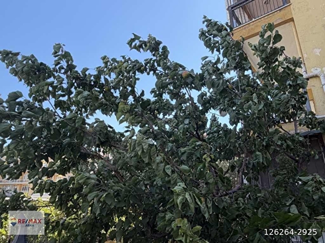 MENEMEN UĞUR MUMCU  MAH  SİTE İÇERİSİNDE  SATILIK  3+1 ARA KAT DAİRE - Görsel 3