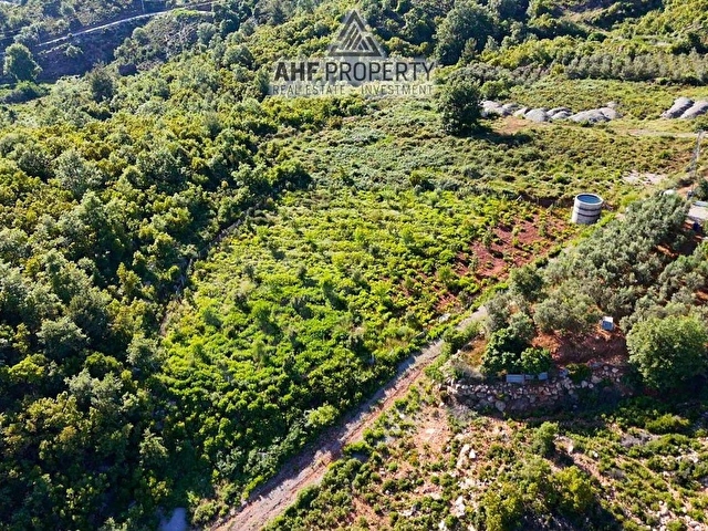 HAZIR KURULU DÜZEN BAHÇE - Görsel 2