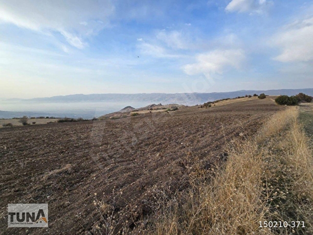 Tokat Merkeze 6 kilometre uzaklıktaki Güğümlü köyünde satılık 31258  m2 tek tapu tarla - Görsel 3