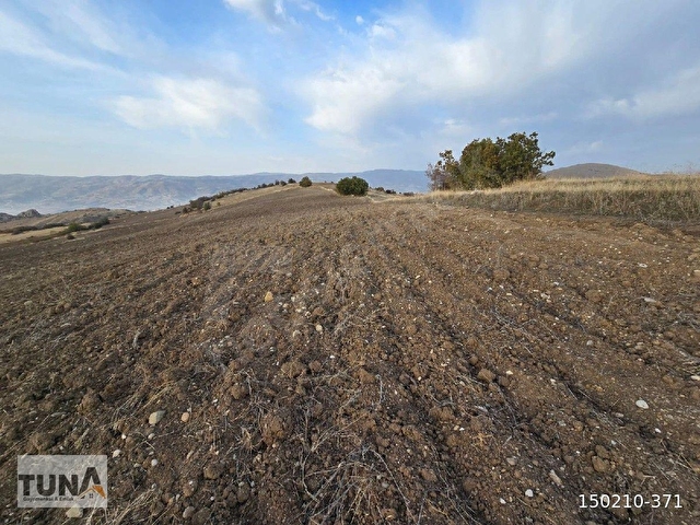 Tokat Merkeze 6 kilometre uzaklıktaki Güğümlü köyünde satılık 31258  m2 tek tapu tarla - Görsel 5