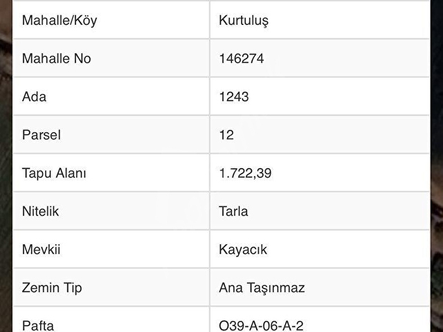 Bağevlik ve yatırımlık bahçe - Görsel 2