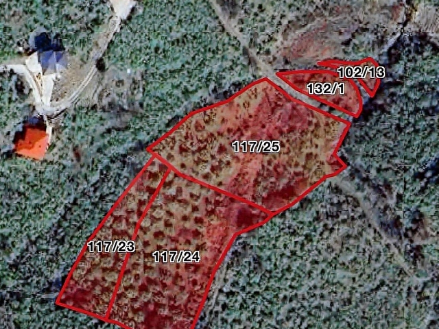 KEŞAP - KARAKOÇ KÖYÜ - 5 PARSEL TOPLAM 7650 m2 SATILIK ARSA - Görsel 11