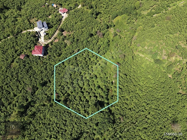 KEŞAP - KARAKOÇ KÖYÜ - 5 PARSEL TOPLAM 7650 m2 SATILIK ARSA - Görsel 20
