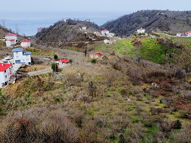 KEŞAP - KARAKOÇ KÖYÜ - 5 PARSEL TOPLAM 7650 m2 SATILIK ARSA - Görsel 22
