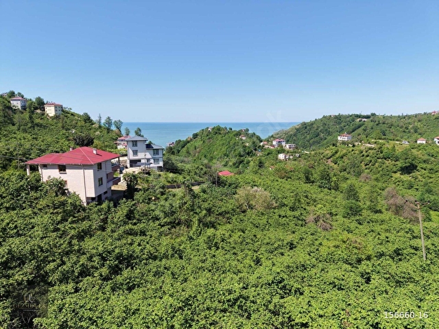 KEŞAP - KARAKOÇ KÖYÜ - 5 PARSEL TOPLAM 7650 m2 SATILIK ARSA - Görsel 10