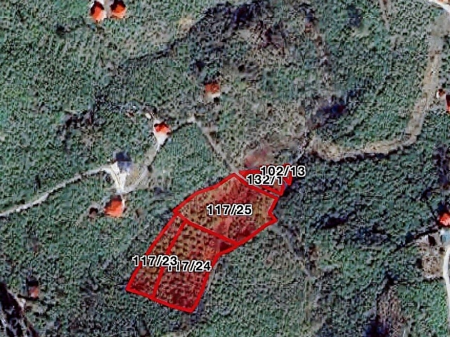 KEŞAP - KARAKOÇ KÖYÜ - 5 PARSEL TOPLAM 7650 m2 SATILIK ARSA - Görsel 9
