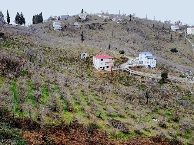 KEŞAP - KARAKOÇ KÖYÜ - 5 PARSEL TOPLAM 7650 m2 SATILIK ARSA - Görsel 19