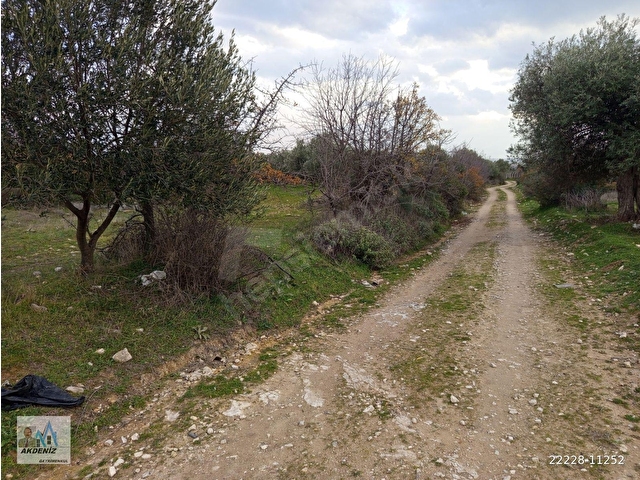 Akdeniz Emlaktan Satılık Şehzadeler İlç Kalemli Mah 8080 m2 Yol Kenarı - Görsel 7