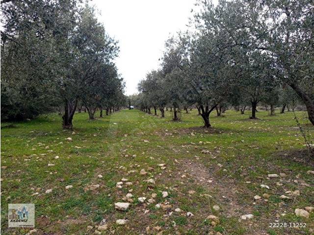 Akdeniz Emlaktan Satılık Şehzadeler İlç Kalemli Mah 8080 m2 Yol Kenarı - Görsel 22