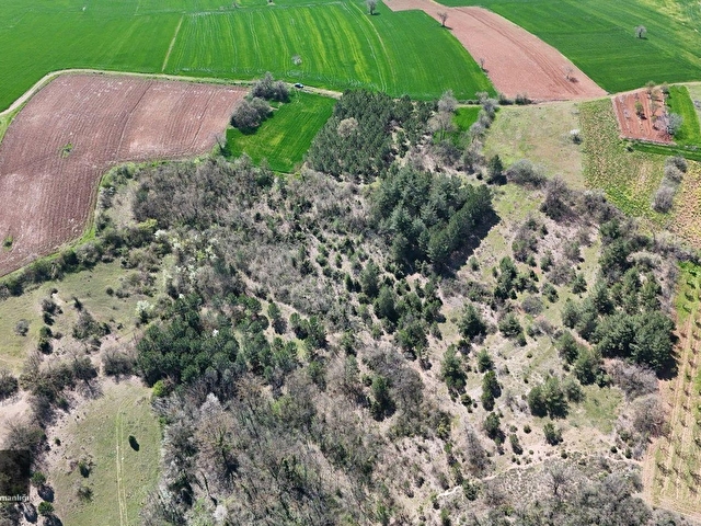 BURSA YENİŞEHİR ORHANİYE KÖYÜNDE SATILIK 1577 M2 MÜSTAKİL PARSEL - Görsel 16