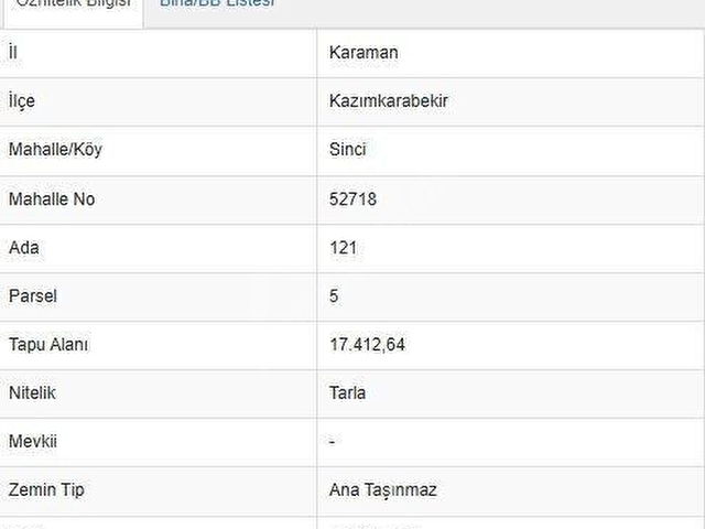 KARAMAN KAZIMKARABEKİR SİNCİ MARJİNAL YAZISI ALINMIŞ 207.160m2 SATILIK ENERJİ TARLASI - Görsel 5