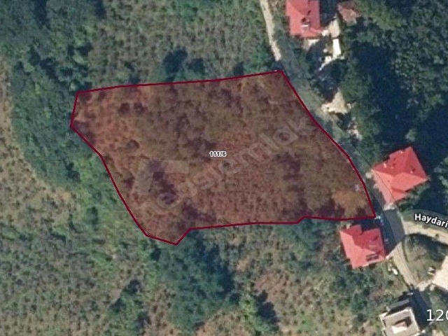 GİRESUN GÖRELE HAYDARLIDA SATILIK 4600M2 FINDIK BAHÇESİ - Görsel 5