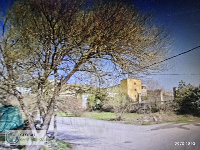 Beykoz Çavuşbaşı Çengeldere Polenez Yoluna Cephili Kiralık Arsa - Görsel 17