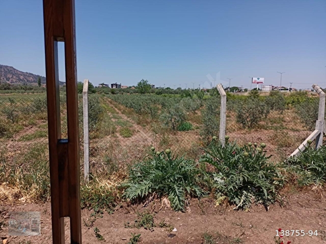 MANİSA SALİHLİ SART MAHALLESİNDE SATILIK  ÇİFTLİK.İZMİR-ANKARA YOLU ÜZERİNDE - Görsel 8
