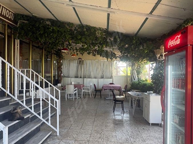 DENİZE SIFIR SATILIK İÇKİ RUHSATINA UYGUN DÜKKAN - Görsel 7